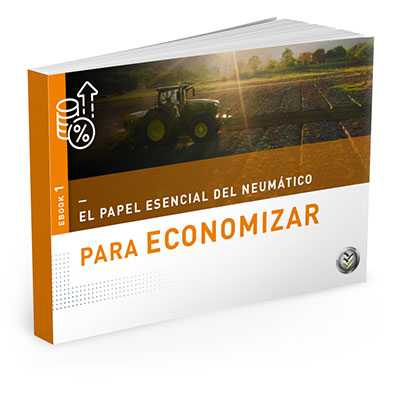 E-book Economía